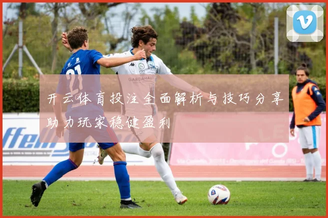 开云体育投注全面解析与技巧分享助力玩家稳健盈利