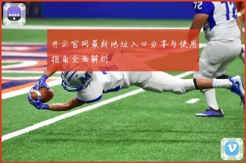 开云官网最新地址入口分享与使用指南全面解析