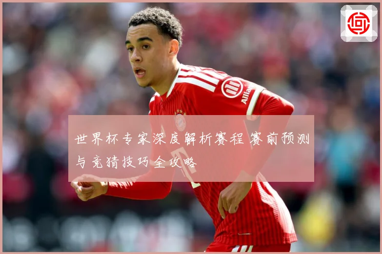 世界杯专家深度解析赛程 赛前预测与竞猜技巧全攻略