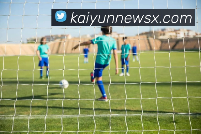 开云平台展示图